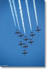 Aermacchi MB-339 AMI-FrecceTricolori-Meeting-BA102-Dijon-Longvic-28juin2008-DSC_0071.JPG
